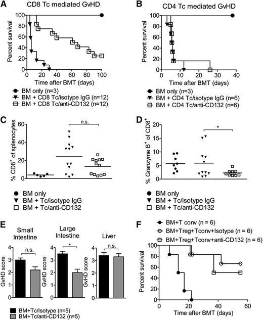 Figure 2. Granzyme B production of CD8 T cells is reduced by anti-CD132 treatment. (A) Survival of BALB/c mice which received BM and CD8 T cells (1 × 106) after TBI. Pooled survival of 2 experiments is shown. The group receiving anti-CD132 mAb survived significantly longer than the group receiving the isotype control (P < .0001). (B) Survival of BALB/c mice which received BM and CD4 T cells (7.5 × 105) after TBI. The difference in survival between the anti-CD132 mAb and isotype groups was not significant at the 95% confidence level. (C) Spleens were removed from transplanted mice on day 7 after BMT and analyzed for the percentage of CD8+ cells. Data are shown for 12 animals per group. (D) Granzyme B levels were analyzed in CD8 cells. Data are pooled from 2 experiments representing 12 animals per group (*P < .05). (E) GVHD histopathology scores for liver, small intestine, and large intestine are displayed. Mice underwent allo-HCT (BALB.B into C57BL/6) and treatment with anti-CD132 or unspecific IgG. Allo-HCT recipients were sacrificed on day 12 after transplantation (*P < .05). (F) Survival of mice undergoing allo-HCT (day 0) and transfer of conventional T cells (day 2) alone or in combination with purified CD4+/CD25+ Treg (day 0) and anti-CD132 antibody, or Treg (day 0) and unspecific IgG treatment. No significant difference was observed between the groups receiving Treg cells, independent of CD132 treatment.
