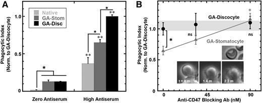 Figure 5. Shape of rigid RBCs modulates CD47’s “don’t eat me” signal. (A) A flow cytometry-based phagocytosis assay shows that macrophage phagocytosis of high antiserum opsonized native RBCs, GA stomatocytes, and GA discocytes is significantly higher than unopsonized cells (*P < .05 compares indicated conditions; ** P < .05 compares high antiserum to zero antiserum for each RBC condition: native RBC, GA stomatocytes, and GA discocytes). (B) RBCs treated with a mild hypotonic buffer followed by GA reaction generated rigid, more rounded, GA stomatocytes (upper inset image). A flow cytometry-based phagocytosis assay of high antiserum opsonized GA stomatocytes shows less engulfment than GA discocytes in the absence of anti-CD47 blocking antibody, whereas blocking CD47 equalized uptake (*P < .05; n ≥ 5000 macrophage in duplicate, ±SD). Time-lapse imaging of the macrophage phagocytic synapse with the stomatocyte shows pseudopods closely surrounding the rounded cell (lower inset image).