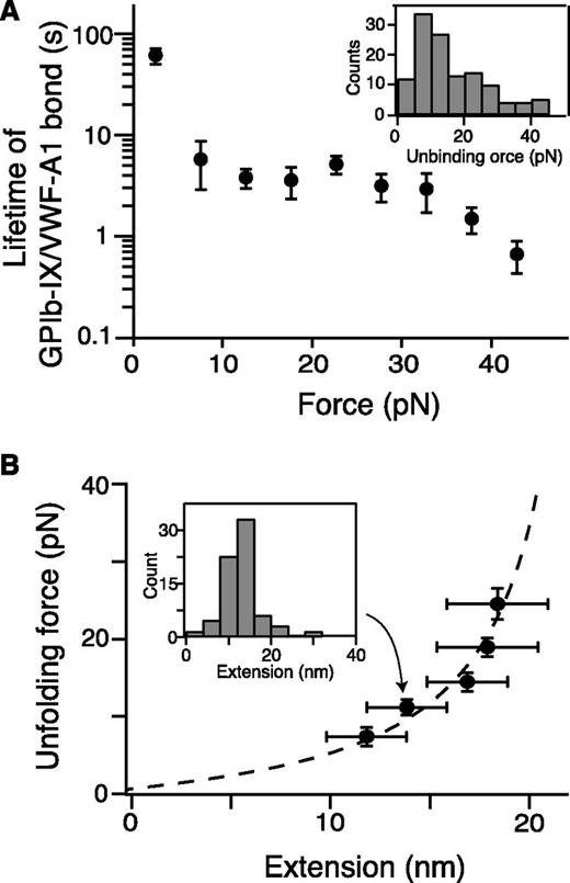 Figure 2. Quantitation of pulling VWF-A1 from biotinylated GPIb-IX. (A) Plot of lifetimes of the GPIb-IX/VWF-A1 bond vs force (mean ± SEM, n >3). Shown in the insert is a representative histogram of unbinding force (collected under a pulling speed of 100 nm/s) used to obtain bond lifetimes.39 (B) Fit of unfolding force vs extension data to the WLC model (dashed line), which yielded a contour length of 25.1 ± 0.3 nm. Extension distances were sorted by unfolding force into 4-pN bins. A histogram of extension (insert) was used to find peak extension. Unfolding forces were averaged for each bin (n = 23-51 per bin). Error bars are 1 SD for force and half-bin width for extension.