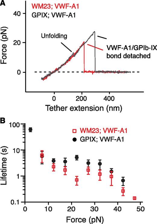 Figure 3. Localization of MSD in the juxtamembrane stalk region of GPIbα. (A) Overlaid force-distance traces of pulling VWF-A1 on GPIb-IX captured by biotinylated WM23 (red trace) and on GPIb-IX captured by biotin at the GPIX cytoplasmic domain (gray). (B) Plots of lifetimes of the GPIb-IX/VWF-A1 bond vs force (mean ± SEM, n >3).