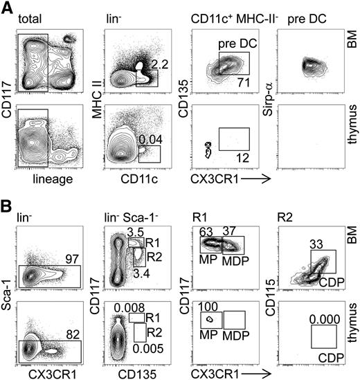 Figure 1. Canonical early DC progenitors are absent from the adult thymus. (A) BM (upper panel) and thymic (lower panel) cells from CX3CR1GFP/+ reporter mice were labeled with antibodies against lineage markers (CD19, TCR-β, NK1.1, CD11b, and Gr-1), along with CD11c, MHC-II, and CD135 and analyzed by FACS to detect pre-DCs (CD11c+MHC-II−). Representative FACS density plots indicate the pre-DC population in the BM and thymus. Numbers next to gates indicate the percentage of cells. (B) Similar to (A), the BM and thymic cells from CX3CR1GFP/+ reporter mice were stained with lineage markers (CD19, TCR-β, NK1.1, CD11b, CD11c, and Gr-1), as well as Sca-1, CD135, CD117, and CD115 antibodies to visualize MPs (Lin−Sca-1−CD117hiCD135+CX3CR1−), MDPs (CD117hiCD135+CX3CR1+), and CDPs (CD117+CD135+CX3CR1+CD115+) in the BM (upper panel) and thymus (lower panel). Representative FACS density plots indicate frequencies of MP, MDP, and CDP. Results are representative of 3 independent experiments with at least 3 mice per group.