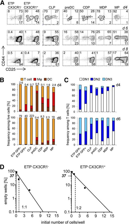 Figure 4. T-lineage differentiation can be elicited from various myeloid–lineage-committed or DC-committed progenitors. (A) BM-derived and thymic progenitors were sorted from CX3CR1GFP/+ reporter mice. Purified precursors were cultured on OP9-DL1 stromal cells in the presence of Flt-3L, SCF, and IL-7, and analyzed at days 4, 6, and 8 to assess their myeloid- and T-lineage potential. DCs were considered as CD11c+, while macrophages were CD11b+CD11c−. T-cell–committed precursors were negative for myeloid markers (CD11c, CD11b, and CX3CR1) and further subdivided into 3 DN populations based on the surface expression of CD25 and CD44. DN1 were CD44+CD25−, DN2 CD44+CD25+, and DN3 CD44−CD25+. (B) Quantification of data shown in (A) at day 4 (upper panel) and day 6 (bottom panel) of culture. Numbers above the columns indicate fold expansion of precursors. (C) Quantification of T-lineage–committed DN populations shown in (A) at day 4 (upper panel) and day 6 (bottom panel) of culture. (D) The potential of CX3CR1+ and CX3CR1− ETPs to develop toward the T lineage was assessed by limiting dilution assay on OP9-DL1 stromal cells in the presence of Flt-3L, SCF, and IL-7. (A-D) Data are representative of 2 independent experiments.