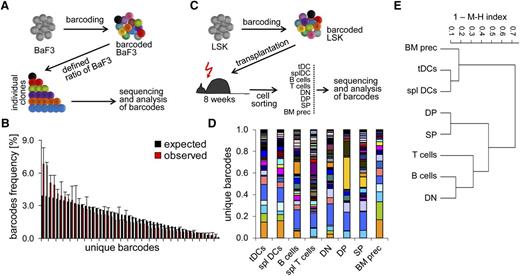 Figure 5. Limited lineage relationship of tDCs and thymocytes revealed by retroviral barcoding. (A) Experimental setup. Fifty individually barcoded BaF3 cells were clonally expanded in vitro. Bar coded BaF3 clones were then mixed at defined ratios of 50:49:48 … 3:2:1 and 50 000 cells of these mixed cultures were subjected to bar code analysis by 454 sequencing. (B) Distribution of individual barcode sequences in BaF3 test sample. Expected frequencies of individual bar codes are shown in black. Observed frequencies of individual barcodes after sequencing are displayed in red. (C) Experimental setup to assess lineage relationship between tDCs, splenic DCs, and thymocytes. LSK cells were transduced with retroviral vectors encoding the barcode library at a multiplicity of infection, on average generating a single integration event per cell. Tagged LSK were FACS-sorted based on GFP expression and injected into lethally irradiated recipients to generate BM chimeras. About 8 to 10 weeks after transplantation, indicated populations of cells were sorted (50 000 cells) and sequenced as described in (A). (D) The distribution of unique barcodes was assessed for tDCs, splenic DCs, splenic B and T cells, DN, DP, and SP thymocytes, as well as BM lin−CD117+ precursors. Each color represents a unique barcode. (E) Unsupervised hierarchical clustering based on the MHI to reveal lineage relationships between sorted populations. (B,D-E) Data are pooled of 2 independent experiments with a total number of 6 mice analyzed.