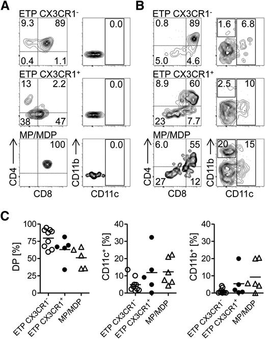 Figure 6. Generation of a niche for DCs permits intrathymic DC development. (A) Sorted thymic CX3CR1+ ETPs, CX3CR1− ETPs, and BM MP/MDP precursors were injected intrathymically into congenic (CD45.1+CD45.2+), nonmanipulated mice. The development of myeloid cells and T cells was assessed 21 days after transfer. CD45.2+ T-cell–committed precursors were either DP or SP for CD4 and CD8. Myeloid cells were CD4/CD8 DN and expressed CD11c (DC), or were CD11c−CD11b+ (macrophages). (B) Precursors sorted as in (A) were injected intrathymically into CD11c-DOG (CD45.1+CD45.2+) mice, in which DCs were depleted 24 hours prior to progenitor injection. Development of T cells and myeloid cells was assessed 21 days after transfer. (C) Quantification of data shown in (B). (A-B) Representative plots of 2 independent experiments and (C) pooled data of 2 independent experiments, with each point representing an individual mouse.