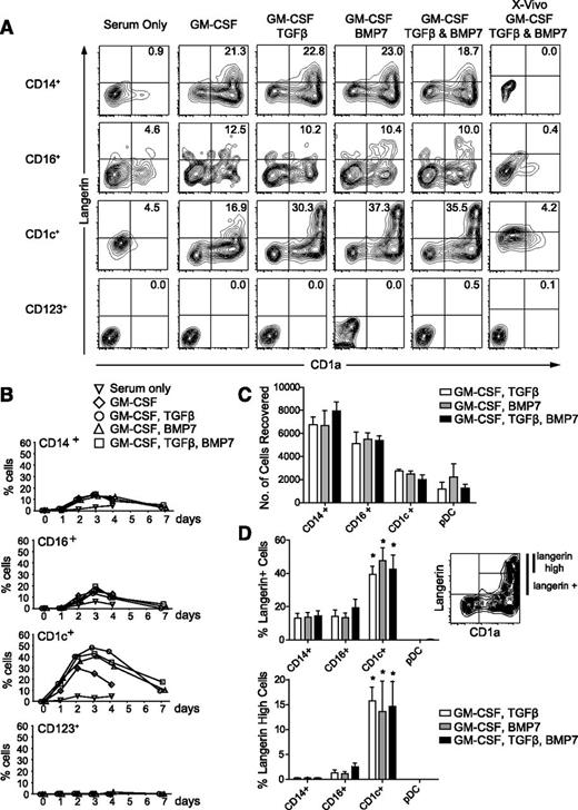 Figure 1. Expression of langerin and CD1a by monocytes and DCs. (A) Sorted cells cultured for 3 days in conditions as indicated showing expression of CD1a and extracellular langerin. The experiment was repeated 5 times except for the panels with X-Vivo, which were repeated 3 times. Four subsets of cells were collected from 1 donor, different in each experiment. (B) Time course of expression of CD1a and langerin double-positive cells showing a peak at 3 days and gradual decline in the percentage of positive cells up to 7 days of culture. Mean ± SEM of 5 experiments with different donors. (C) Recovery of viable cells under each condition at 7 days of culture, estimated by the total number of 4,6 diamidino-2-phenylindole (DAPI)–negative cells recorded when the culture was analyzed and run to dryness on the cytometer. Ten-thousand cells were added to each well as counted by the sorter but typically resulted in 6000 to 8000 viable cells at the start of the culture. There were no statistically significant differences between each condition for a given subset of cells. (D) Upper plot: percentage of langerin+ cells derived from GM-CSF+TGFβ (open bars), GM-CSF+BMP7 (gray bars), and GM-CSF+TGFβ and BMP7 (black bars) after 3 days of culture. Lower plot: percentage of langerinhigh cells derived from GM-CSF+TGFβ (open bars), GM-CSF+BMP7 (gray bars), and GM-CSF+TGFβ and BMP7 (black bars) after 3 days of culture. Mean ± SEM of 5 experiments with different donors. Gating of langerin+ and langerinhigh cells is illustrated using CD1c+ DCs incubated with GM-CSF and BMP7 as an example. There were no statistically significant differences between each condition for a given subset of cells. *P < .01 compared with corresponding CD14+ monocyte culture. Differences in langerin induction between monocyte subsets and pDCs for a given culture condition were not significant.