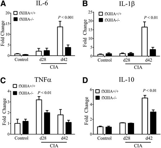 Figure 3. Reduced inflammatory cytokine expression in CIA-challenged fXIIIA-deficient mice. Quantitative RT-PCR analysis of messenger RNA levels for inflammatory cytokines IL-6 (A), IL-1β (B), TNFα (C), and IL-10 (D) in the hind paws obtained from unchallenged (control, n = 6 per genotype), day 28 (n = 9 per genotype), and day 42 (n = 10 per genotype) of fXIIIA+/+ and fXIIIA−/− mice. Data are expressed as average fold change over unchallenged fXIIIA+/+ group with error bars denoting standard error of the mean. P < .001 (A); Data analyzed by 2-way analysis of variance, followed by Student-Newman-Keuls posthoc test.