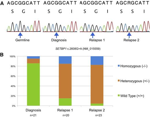 Figure 1. Disease progression over serial time points. (A) Sanger sequencing from 1 patient over 4 time points reveals a serial increase in the allelic fraction of mutant SETBP1 c.2608G>A (p.G870S). (B) Sequencing of individual colonies from the same patient using defrosted, cryopreserved cells grown in complete methylcellulose at diagnosis, relapse 1, and relapse 2 reveals that the number of cells that contain heterozygous and homozygous mutant SETBP1 increase despite intensive treatment. n = number of colonies sequenced at each time point.