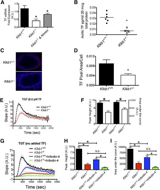 Figure 6. Tissue factor expression in Klkb1−/− mice. (A) Aortic tissue factor (mTF) mRNA determined in Klkb1+/+ (n = 19), Klkb1−/− (n = 9), and Klkb1−/− + nimesulide (Nimes) (n = 5). (B) Measurement of TF activity in aortic lysates of Klkb1+/+ and Klkb1−/− mice by chromogenic assay (n = 6 aortas per group). (C) Representative immunofluorescence of carotid artery TF antigen. The images were taken with a Nikon Eclipse TE2000-S microscope at 10× magnification. (D) The relative TF antigen presence in carotid arteries in Klkb1+/+ and Klkb1−/− tissue (n = 4 arteries per genotype). (E) Low-dose (0.5 pM) exogenous tissue factor–induced thrombin generation times (TGT) in Klkb1+/+ and Klkb1−/− plasmas (n = 3 per group). (F) Peak height and AUC were calculated and quantified from the TGT curves in (E). (G) TGT in Klkb1+/+and Klkb1−/− plasma without added TF in the absence or presence of 2 nM rHA-Infestin-4 (n = 6 per group). (H-I) Peak height and AUC, respectively, were calculated and quantified from the TGT curves in (G). In (E) and (G), the slopes of the TGT are actual values in arbitrary units. In the absence or presence of rHA-Infestin-4 (2 nM), Klkb1−/− plasma had reduced endogenous thrombin generation when compared with Klkb1+/+ plasma. Data are presented as mean ± SEM for all experiments. *Significant difference (P < .05) between the 2 groups on Student t test or 1-way ANOVA test when more than 2 groups of data are compared.