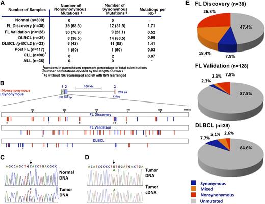 Figure 1. Distribution of BCL2 somatic mutations in FL and non-Hodgkin lymphoma subtypes. (A) Summary of somatic sequence mutations for BCL2 in FL and other non-Hodgkin lymphoma subtypes analyzed by Sanger sequencing in normal samples, a discovery (prevalence) cohort of 38 FLs, a validation cohort of 128 FLs collected exclusively at diagnosis, and cohorts of 117 post-FLs, 39 DLBCLs, 90 CLLs (50 with IGH rearrangement and 40 without), and 36 ALLs. (B) Schematic diagram of the BCL2 gene (top) and somatic mutation distribution along the BCL2 gene in the FL discovery cohort (n = 38), FL validation cohort (n = 128), and DLBCL cohort (n = 39). Exons 1, 2, and 3 are coded in green, purple, and red, respectively. Blue and red bars indicate synonymous and nonsynonymous mutations, respectively. (C-D) Sequencing chromatograms of representative mutated FL samples (lymph node) and paired normal (peripheral blood) DNA (C), or FL DNA and corresponding cDNA (D). Arrows point to the positions of nucleotide change, with the variant nucleotide labeled in red. (E) Overall frequency of BCL2 somatic mutations in FL and DLBCL. Within each group, samples without mutation are depicted in gray, samples with only synonymous mutations in blue, samples with mixed mutations in orange, and samples with nonsynonymous mutations in red.