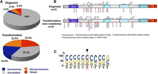 Figure 4. BCL2 mutations at transformation in FL. (A) Overall frequency of BCL2 somatic mutations in FL validation cohort at diagnosis and transformation. Gray, blue, orange, and red depict samples without mutations, with only synonymous mutations, with mixed synonymous and nonsynomymous mutations, and with only nonsynonymous mutations, respectively. (B) Schematic diagram of the Bcl-2 protein showing Bcl-2 homology domains and distribution of new amino acid alterations for FL validation samples (n = 31) at transformation. Color-coded symbols depict distinct types of alterations, with purple for synonymous, white for nonsynonymous with no charge introduction, red for nonsynonymous with introduction of a negative charge, and blue for nonsynonymous with introduction of a positive charge. Red cross identifies a stop codon. (C) Depiction of bp preference of mutations in the FL validation at diagnosis and transformation (n = 31). The size of letters corresponds to the frequency with which that nucleotide is mutated in the BCL2 coding strand. bp, base pair; TM, transmembrane domain.