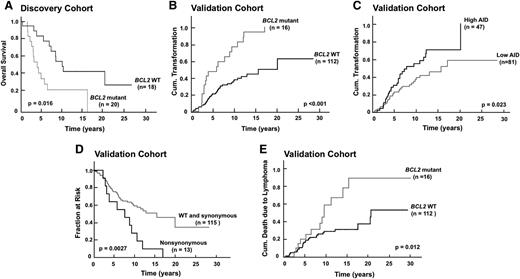 Figure 6. BCL2 mutations correlate with transformation risk and disease-specific death in FL. (A) Kaplan-Meier plots showing impact of BCL2 mutations on overall survival in FL discovery cohort. (B-C) Kaplan-Meier plots showing impact of BCL2 mutations (B) or AID expression (C) on transformation risk in FL validation cohort. (D) Kaplan-Meier plots showing impact of BCL2 nonsynonymous mutations on TTT in FL validation cohort. (E) Kaplan-Meier plots showing impact of BCL2 mutations on death due to lymphoma in FL validation cohort.