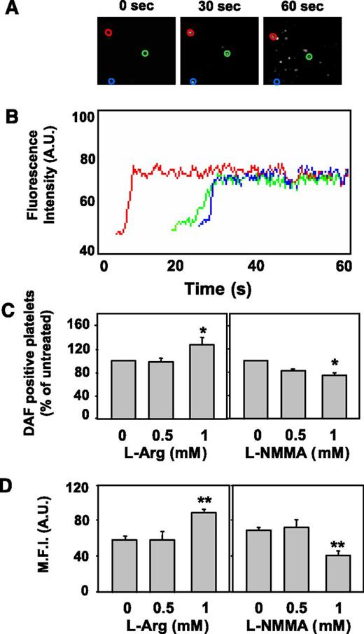 Figure 2. Visualization of intracellular NO production in platelets adhering to type I collagen under flow. DAF-FM–loaded platelets (5 × 107/mL) and washed erythrocytes (hematocrit 42%-45%) were suspended in plasma and HEPES-Tyrode buffer containing 2 mM CaCl2/MgCl2 (1:1 vol/vol). The cell suspensions were perfused for 3 minutes over fibrillar type I collagen at the wall shear rate of 3000 s−1 and fluorescence intensity within surface-interacting platelets was monitored for 60 seconds. (A) Representative single-frame images demonstrating fluorescence increases in the first 60 seconds of perfusion. (B) Surface-interacting platelets were monitored in real time during the first 60 seconds. The traces, obtained with the automatic Casti Imaging procedure, are representative curves of fluorescence intensity of 3 single platelets (representative example of 3 experiments). (C) The number of platelets exhibiting a fluorescence increase over a 3-minute period was enumerated in the absence (control) or presence of different concentrations of l-Arg or of L-NMMA, as indicated, and expressed as percent DAF-positive platelets of control (*P < .01 vs untreated). (D) The mean fluorescence intensity (MFI), an index of NO production in DAF-FM–loaded platelets, was quantified for 30 seconds in the absence (control) or presence of different concentrations of l-Arg or of L-NMMA, as indicated (**P < .001 vs untreated).