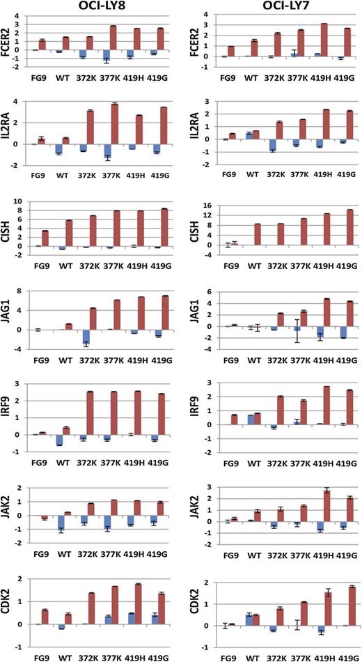 Figure 4. Heightened expression of 7 genes in response to IL-4 in lymphoid cell lines overexpressing STAT6 mutants. The stable cell lines OCI-LY7 and OCI-LY8, expressing various STAT6 constructs as indicated, were left unstimulated (blue) or stimulated with IL-4 (red), and the expression of 7 genes was measured by qPCR. Data were normalized to the expression of glyceraldehyde-3-phosphate dehydrogenase (GAPDH) and to the measurements for the unstimulated FG9 (vector only) cells. Displayed are δ Ct values. The mean is indicated.