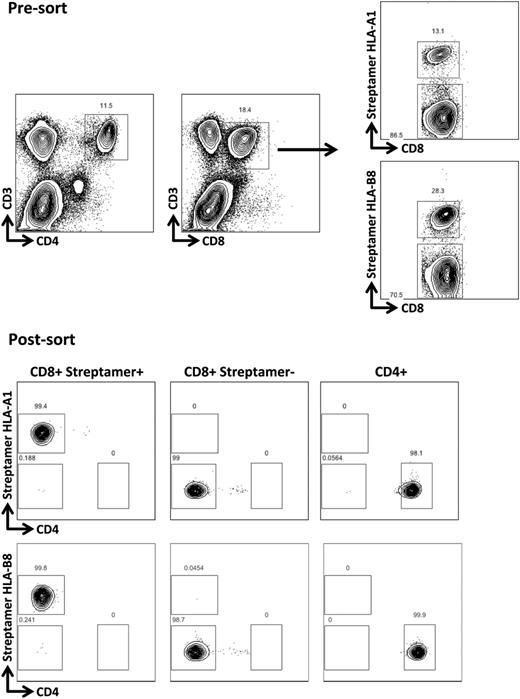 Figure 6. Expansion of CMV-specific T-cell populations after donor lymphocyte infusion. The upper panels demonstrate the expansion of CMV-reactive T cells colabeled with CD3, CD8, and CMV-specific HLA-streptamers occurring after DLI in patient 3. Flow cytometric sorting provided highly purified populations for subsequent chimerism analyses.