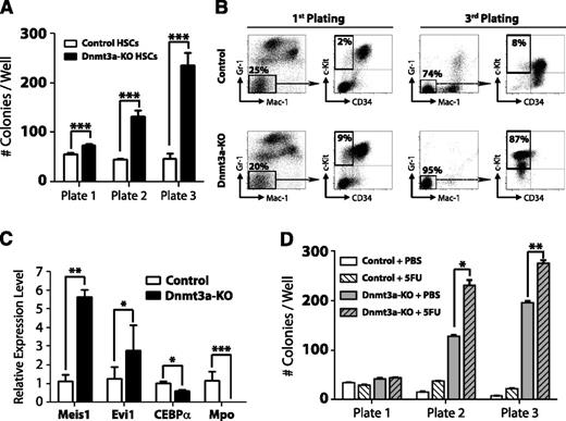 Figure 1. Loss of Dnmt3a in HSCs leads to enhanced serial replating capacity. (A) CFU assay of HSCs. A total of 100 control or Dnmt3a-KO HSCs were plated per well 4 weeks after the final pIpC injection. CFUs were scored every 7 days, and 5000 cells were replated each round in triplicate. Mean ± SEM values are shown from 3 independent experiments. (B) FACS analysis of CFU plates. Although control and Dnmt3a-KO colonies showed similar myeloid development after the first plating, by the third plating, most Dnmt3a-KO colonies were negative for mature myeloid markers (Gr-1− Mac-1−) and showed an immature c-Kit+ CD34− phenotype (red squares). (C) Real-time PCR at the third plating showed Dnmt3a-KO cells were characterized by increased expression of the self-renewal regulators Meis1 and Evi1 and decreased expression of the myeloid differentiation factors CEBPα and Mpo. (D) Serial replating of control or Dnmt3a-KO HSCs from mice previously injected with phosphate-buffered saline (PBS) or 5FU. Mean ± SEM values are shown from 3 independent experiments. *P < .05, **P < .01, ***P < .001.