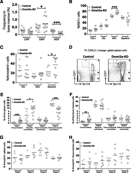 Figure 3. Dysfunctional myeloid and erythroid cell development in the absence of Dnmt3a. (A) Increased frequency of GMPs but decreased frequency of MEPs in the bone marrow of Dnmt3a-KO MDS mice (n = 11) compared with control mice (n = 13). (B) Quantification of Ki67+ cells within bone marrow populations from Dnmt3a-KO MDS (n = 6-7) and control (n = 7) mice showed increased proliferation of Dnmt3a-KO myeloid progenitors (MPs). (C) Quantification of Annexin V+ cells within bone marrow populations from Dnmt3a-KO MDS (n = 8-10) and control (n = 9) mice showed increased apoptosis in Dnmt3a-KO mature myeloid cells (Gr-1+ Mac-1+) but not progenitors. (D) FACS analysis showing accumulation of immature erythroid progenitors (stage I and stage II) in the spleen of Dnmt3a-KO MDS mice. (E) Quantification of erythroid progenitors in the spleens of Dnmt3a-KO MDS (n = 12) and control (n = 10) mice showed arrest of Dnmt3a-KO progenitors at stage I (proerythroblast) and stage II (basophilic erythroblast) of erythroid development, leading to a subsequent decrease in the more mature stage IV (orthochromatophilic erythroblast) cells. (F) Quantification of erythroid progenitors in the bone marrow of Dnmt3a-KO MDS (n = 12) and control (n = 10) mice. (G) Apoptosis analysis of erythroid progenitors in the spleens of Dnmt3a-KO MDS (n = 6) and control (n = 6) revealed no differences in percentages of Annexin V+ cells, suggesting the accumulation of Dnmt3a-KO early progenitors arose from a block in developmental progression. (H) Apoptosis analysis of erythroid progenitors in the bone marrow of Dnmt3a-KO MDS (n = 6) and control (n = 6) mice. * P < .05, ** P < .01, *** P < .001.