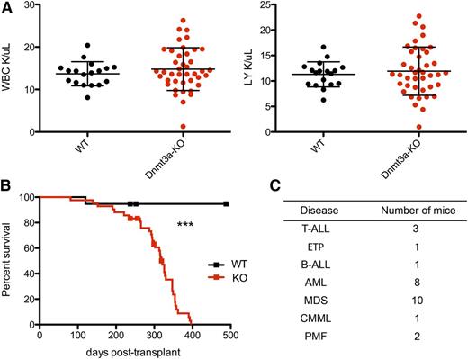 Figure 1. Mice transplanted with Dnmt3a-KO HSCs have reduced survival. (A) WBC and lymphocyte (LY) count at 26 weeks posttransplant; n = 18 WT and n = 41 Dnmt3a-KO. Error bars represent mean plus standard deviation. (B) Kaplan-Meier survival curve of mice transplanted with WT (n = 20) or Dnmt3a-KO (n = 45) HSCs. Censored points (squares) represent 5 mice that were sacrificed for a nonhematopoietic phenotype. Median survival is 321 days for Dnmt3a-KO; undetermined for WT. The experiment was repeated with the same numbers of animals, with median survival times of 246 days for mice transplanted with Dnmt3a-KO HSCs and 467 days for those transplanted with WT. (C) Number of mice in the transplanted cohort that were definitively diagnosed with the indicated hematopoietic diseases. ***P < .0001. B-ALL, B-cell acute lymphocytic leukemia/lymphoma; CMML, chronic myelomonocytic leukemia; ETP, early thymic progenitor acute lymphoblastic leukemia; PMF, primary myelofibrosis.