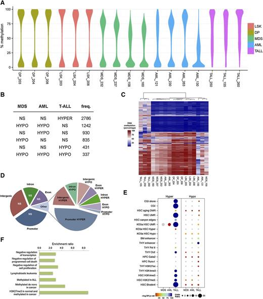 Figure 5. DNA methylation changes in Dnmt3a-null driven malignancies. (A) Distribution of absolute DNA methylation levels in all experiments for genomic regions subject to differential methylation in MDS, AML, and/or T-ALL mice. The width of the y-axis indicates the frequency with which the value is observed. (B) The top 6 classes of DNA methylation changes (relative to control samples) across the diseases are shown. Hypermethylation in T-ALL is the most frequent, and shared hypomethylation between MDS and AML is the second most frequent. (C) The methylation levels of DMRs in 1 or more diseases were analyzed by hierarchical clustering using a Jensen-Shannon distance metric of methylation specificity. (D) Pie chart showing the proportion of DMRs in T-ALL mice by gee association. Left chart summarizes region coverage of intergenic, introns, exons, and promoters. Right chart summarizes DMRs by the same categories. (E) Chromatin and transcriptional regulator enrichment analysis of MDS, AML, and T-ALL DMRs. Enrichment of DMRs in peaks or binding sites curated in publicly available mouse functional genomics data sets for the indicated factors and cell/tissue lineages was quantified using odds ratios and P values (Benjamini-Hochberg testing correction) determined by Fisher’s exact test. Dot sizes are proportionate to the odds ratio. Color intensity represents the negative-log Benjamini-Hochberg–corrected P value. Nonsignificant results are in gray. (F) T-ALL hypermethylation recapitulates functions and ontologies of human leukemia. Potential cis-regulatory functions of promoter-proximal (10 kb up to 1 kb downstream of transcriptional start sites) hypermethylated DMRs in T-ALL were predicted with GREAT 2.0. All enriched terms have a multiple testing corrected q < 0.005. CGI, CpG islands; LSK, Lin-Sca-1+c-Kit+; NS, nonsignificant; TALL, T-ALL; THY, thymus; UMR, undermethylated regions.