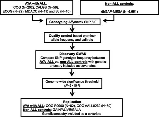 Figure 1. GWAS study design. ALL susceptibility variants were identified by comparing SNP genotype frequency in AYA ALL cases compared with non-ALL controls in the discovery GWAS, followed by replication. CALGB: The Alliance-Cancer and Leukemia Group B; COG: Children’s Oncology Group; ECOG: Eastern Cooperative Oncology Group; MDACC: MD Anderson Cancer Center; SJ: St. Jude Children’s Research Hospital.
