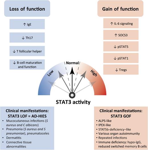 Both LOF and GOF STAT3 mutations have significant clinical consequences. Whereas STAT3 LOF is responsible for autosomal-dominant hyper–immunoglobulin E syndrome (AD-HIES) with increased susceptibility to infection via reduced Th17 and B-cell function, STAT3 GOF is responsible for both immune dysregulation and immune deficiency. The clinical phenotype of STAT3 GOF-induced immune dysregulation is very diverse and can be seen as a mix of IPEX-like, ALPS-like, and STAT5b-deficiency–like symptoms. IgE, immunoglobulin E; IgG, immunoglobulin G.