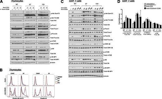 Figure 1. T-cell and thymocyte signaling in T-cell–specific PTEN-null and PTEN–phosphatase-dead mice. (A) Western blot analysis of PI3K/Akt signaling in total thymocytes of 4- to 5-week-old WT, PTEN-ΔT, and PTENC124S/ΔT mice, representative of >6 experiments. Crosslinking of anti-CD3 (3 μg, clone 2C11) was achieved using anti-hamster IgG, with or without the addition of 1 μg soluble anti-CD28. (B) Phospho-flow analysis of PI3K/Akt signaling in total thymocytes, gated on either CD4 single-positive (CD4SP) or CD4/CD8 double-positive (DP) cells, representative of >4 experiments. The same activation conditions as western blot experiments, with anti-CD28, were used for phospho-flow. (C) Western blot analysis of PI3K/Akt signaling in purified CD4+ premalignant T cells from spleen and lymph nodes of 4- to 5-week-old WT, PTEN-ΔT, and PTENC124S/ΔT mice, representative of >6 experiments. Crosslinking of anti-CD3 (3 μg, clone 2C11) was achieved using anti-hamster IgG, and 1 μg soluble anti-CD28 was added on the addition of anti-CD3. (D) Quantitative analysis of western blots of peripheral CD4+ T cells stimulated for 15′ with anti-CD3 +/− anti-CD28. WT stimulated with anti-CD3 alone (without anti-CD28) is set to a relative unit of 1, to which all genotypes and stimulation with anti-CD28 are compared, for each phosphoprotein/total protein. Results are for 3 independent experiments.
