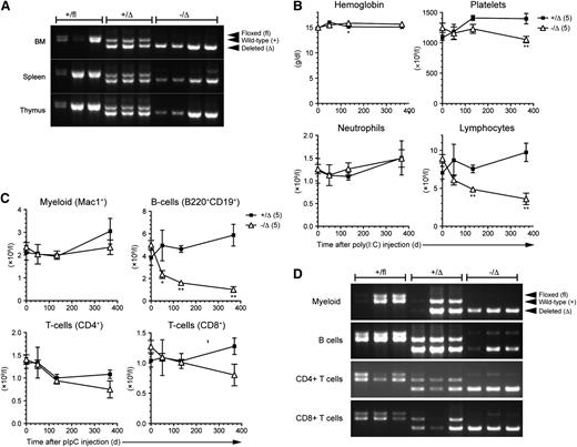 Figure 1. Loss of Hhex results in progressive lymphopenia. (A) Effective deletion of Hhex in hematopoietic tissues of Hhex−/Δ mice. One month after poly(I:C) treatment, genomic DNA was prepared from the BM, spleen, and thymus of mice of the indicated genotypes and PCR was performed to detect floxed (top), wild-type (middle), and deleted (bottom) Hhex alleles. Lanes represent individual mice analyzed. (B) Time course analysis of blood parameters after Hhex deletion. Numbers of mice analyzed are shown in parentheses. (C) Time course analysis of leukocyte populations after Hhex deletion. Absolute numbers of each leukocyte population were determined by combining white blood cell counts with flow cytometric data. *P < .05; **P < .01 by Student t test. (D) Mx-Hhex mice were treated with poly(I:C) at 7 weeks of age. Then 9 to 11 months later, genomic DNA was prepared from peripheral leukocytes of the indicated lineages and PCR was performed as it was in (A). Lanes represent individual mice analyzed.