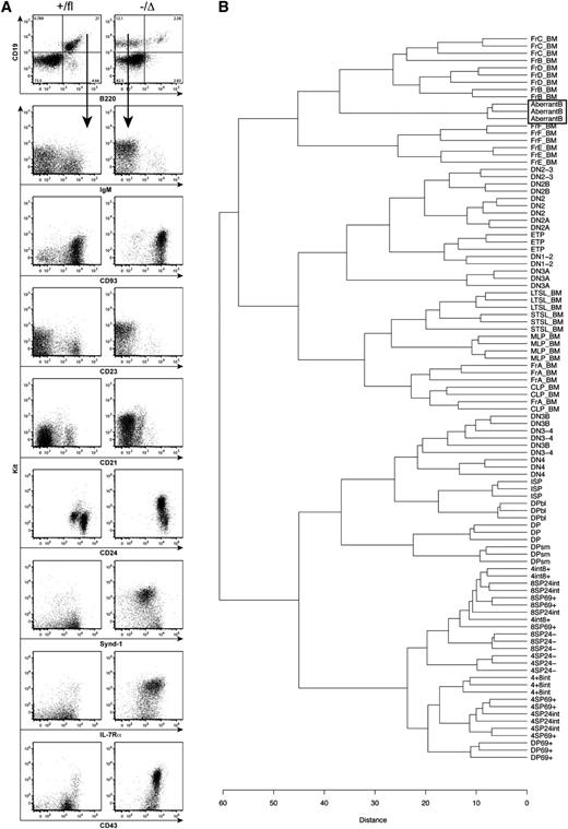 Figure 3. Characterization of the abnormal B-cell population in Hhex−/Δ mice. (A) Flow cytometric analysis of the BM of Hhex−/Δ mice showing gating of the “aberrant” B-cell (CD19+B220−) population and subsequent analysis of expression of Kit versus IgM, CD93, CD23, CD21, CD24 (HSA), Synd-1 (CD138), IL-7Rα (CD127), and CD43. Note that the top 5 plots and bottom 4 plots are from different mice of the same genotype. (B) Hierarchical clustering analysis of microarray data from CD19+B220− B-cells from Hhex−/Δ mice (“Aberrant B,” boxed) vs B- and T-lymphoid populations analyzed by the ImmGen Consortium.23