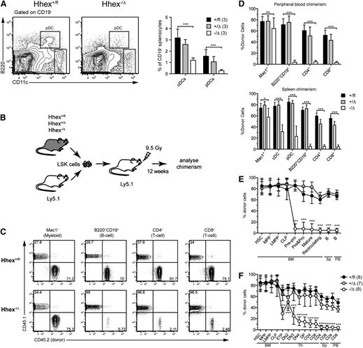 Figure 4. Defective lymphoid commitment in the absence of Hhex. (A). Deletion of Hhex results in loss of DCs. The left panel represents flow cytometric analysis showing loss of plasmacytoid DCs (pDC) and conventional DCs (cDC) in Hhex−/Δ mice. The right panel represents combined data showing mean + standard deviation. ***P < .001 (Student t test). (B) Schematic of experimental strategy to test repopulation capacity of Hhex−/Δ stem cells. (C) Flow cytometric data showing contribution of LSK cells of the indicated genotypes to peripheral blood myeloid (Mac1+), B-cell (B220+CD19+), and T cell (CD4+ and CD8+) compartments at 12 weeks after BM reconstitution as in (B). (D) Contribution of LSK cells of the indicated Hhex genotypes to hematopoietic populations in the peripheral blood (top) (n = 10-11 per group) and spleen (bottom) (n = 7-8 per group) 12 weeks posttransplant. *P < .05; ** P < .01; *** P < .001 by Student t test. (E-F) Contribution of donor LSK cells of the indicated Hhex genotypes to the indicated stages of B-cell development (E) and T-cell development (F) at 16 weeks posttransplant. Cells were gated as HSC compartment (Lin−/Kithi/Sca-1+/Flt-3−), MPP cells (Lin−/Kithi/Sca-1+/Flt-3int), LMPP cells (Lin−/Kithi/Sca-1+/Flt-3hi), CLP cells (Lin−/Kitint/Sca-1int/Flt-3+/IL-7Rα+), ETP (CD4−/8−/25−/Kit+), DN2 (CD4−/8−/25+/Kit+), DN3 (CD4−/8−/25+/Kit−), DN4 (CD4−/8−/25−/Kit−), DP (CD4+/8+), CD8 (CD4−/8+), CD4 (CD4+/8−). Organs analyzed: Th, thymus; Sp, spleen; PB, peripheral blood. Data are mean ± standard deviation and are combined from 3 independent experiments. ***P < .001 by Student t test.