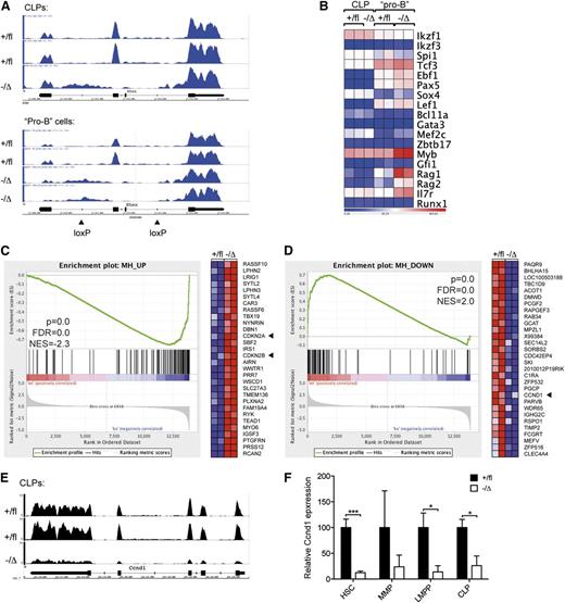 Figure 6. Altered expression of cell cycle regulatory genes in Hhex−/Δ lymphoid precursors. (A) Deletion of Hhex exons 2 and 3 Hhex−/Δ in progenitors used in RNA-sequence analyses. Read depth analysis is shown at the Hhex locus for RNA-sequence data obtained from populations of CLPs and “pro-B” cells (CD19+ Kit+ cells) from mice of the indicated Hhex genotypes. This shows a loss of reads at exon 2-3 of Hhex in Hhex−/Δ cells. Arrows at the bottom indicate the location of loxP sites in the Hhexfl allele. (B) Expression of lymphoid transcription factors in Hhex−/Δ progenitors. Data show the globally normalized exonic read counts of each of each gene in CLPs and “pro-B” cells of the indicated Hhex genotypes, as determined by RNA sequencing. Units are reads per thousand exonic bases per million mapped reads. (C-D) Gene Set Enrichment Analysis showing association of Hhex-regulated genes in CLPs and “pro-B” cells. In (C), genes significantly upregulated in Hhex−/Δ CLPs were compared in wild-type and Hhex−/Δ “pro-B” cells. In the enrichment plot, skewing to the right indicates that most genes are also upregulated in Hhex−/Δ “pro-B” cells. The heat-map (right) shows the top 30 genes most upregulated in “pro-B” cells. Arrowheads show upregulation of Cdkn2a and Cdkn2b. In (D), genes significantly downregulated in Hhex−/Δ CLPs were compared in wild-type and Hhex−/Δ “pro-B” cells. In the enrichment plot, skewing to the left indicates that most genes are also downregulated in Hhex−/Δ “pro-B” cells. The heat-map (right) shows the top 30 most downregulated genes in “pro-B” cells. Arrowhead shows downregulation of Ccnd1. (E) Loss of Ccnd1 expression in Hhex−/Δ CLPs. RNA-sequencing tracks show RNA-sequencing coverage of CLPs at the Ccnd1 locus. Units are reads per kilobase per million mapped reads. (F) Real-time PCR data showing loss of Ccnd1 expression in Hhex−/Δ progenitors. Data are mean + standard deviation of 3 independent experiments. FDR, false discovery rate; NES, normalized enrichment score; WT, wild-type; KO, knockout. *P < .05; ***P < .001 by Student t test.