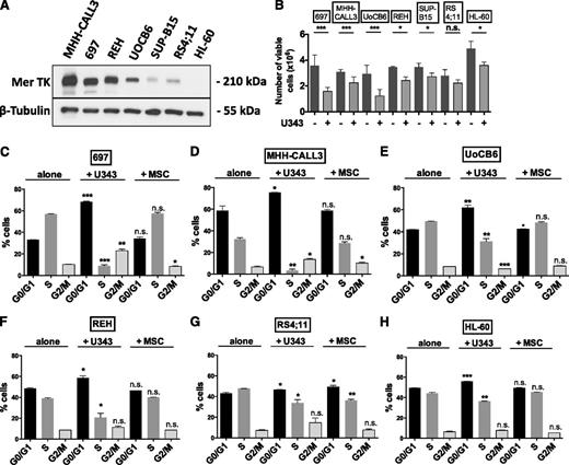 Figure 1. U343 coculture induces quiescence in Mer-expressing ALL cell lines. (A) Mer expression in ALL cell lines and in HL-60 cells by western blotting. (B) Culture of leukemic cells alone (−) and coculture of leukemic cells with U343 (+) for 48 hours reduces the number of viable leukemic cells as determined by trypan blue exclusion. (C-H) BrdU incorporation and subsequent 7-AAD staining in leukemic cells cultured alone or in 48-hour cocultures with U343 or MSC cells, as indicated. Cells were gated according to the gating strategy in supplemental Figure 1. Phases of the cell cycle are depicted as indicated. *P < .05; **P < .01; ***P < .001. ns, not significant.