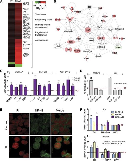 Figure 3. THs acting at the membrane receptor initiate a transcriptional program. (A) A graphical heatmap representation of changes (log2 fold change) in gene expression of CUTLL1 cells after treatment with TH-AG vs CT (AG alone); n = 3 independent samples for each condition. Selected Gene Ontology categories for upregulated genes are shown on the right. (B) The top network identified by Ingenuity Pathway Analysis on mobilized genes by AG-bound hormones treated cells vs CT. (C) Validation of a select number of genes from the network shown in panel B, 24 hours posttreatment with TH-AG in immature CUTLL1 cells and mature TCL cell lines, HuT 78, and OCI-Ly12. (D) Regulation of IL-4 and VEGFB mRNA levels after 2 hours of treatment with free TH in the presence and absence of integrin αvβ3. (E) NF-κB localization by confocal microscopy of CUTLL1 cells treated or not (Control) with THs for 15 minutes. Representative photographs (scale bar, 20 μm). (F) Effect of 1 µM of NFκB inhibitor, BAY 11-7082, on TH-mediated regulation of IL-4 and VEGFB genes in CUTLL1, HuT 78, and OCI-Ly12 cells.