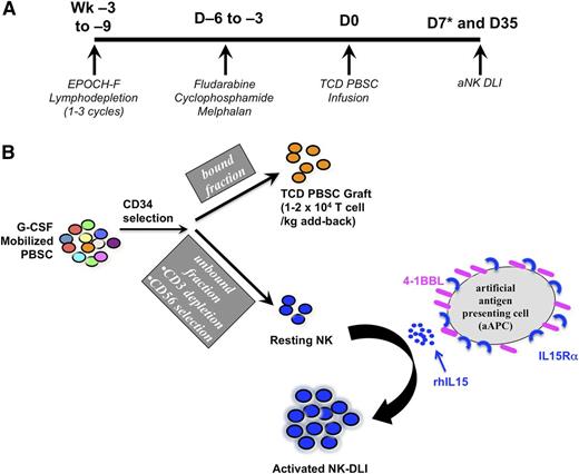 Figure 1. Protocol treatment and NK expansion schema. (A) Treatment schema. Asterisk denotes time point that was delayed to days (D) 15 and 24 to meet Food and Drug Administration–mandated regulatory requirements for subjects 1 and 2, respectively. (B) Processing of filgrastim-mobilized peripheral blood stem cells to yield a T cell–depleted PBSC graft and a T cell–depleted, activated NK donor leukocyte infusion (aNK-DLI). G-CSF, granulocyte macrophage colony-stimulating factor; TCD, T-cell–depleted; Wk, week.