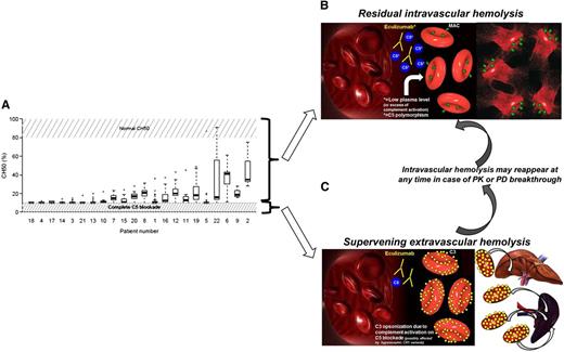 Detection of residual complement activity in PNH patients on eculizumab, with their pathogenic and therapeutic implications. (A) Residual CH50 activity in PNH on eculizumab (see Figure 2A in the article by Peffault de Latour et al that begins on page 775). (B) Mechanism of residual intravascular hemolysis on eculizumab: lack of complete C5 blockade may be due to low plasma level of eculizumab (PK breakthrough) and extra complement activation (PD breakthrough) or rare C5 polymorphisms. Residual intravascular hemolysis may benefit from changes in eculizumab schedule and novel terminal complement inhibitors.10 (C) Mechanism of supervening extravascular hemolysis: due to the lack of CD55, proximal complement activation on RBC remains impaired, eventually leading to C3 opsonization and subsequent C3-mediated extravascular hemolysis.6 C3-mediated extravascular hemolysis may benefit from novel inhibitors of the proximal complement targeting C3 and other proteins involved in the activation of the complement alternative pathway.8-10