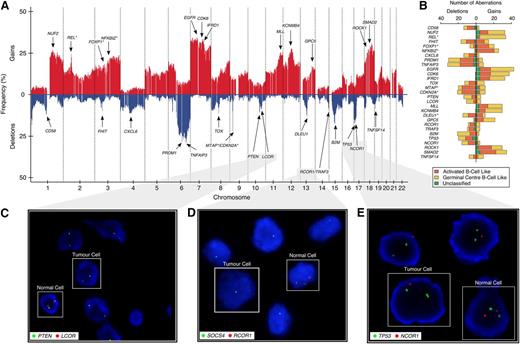 Figure 1. Genome-wide CN architecture of 148 DLBCL patients. (A) A genome-wide linear representation of the CN profile, summarized at the gene level, across all 148 samples, with gains in red, and deletions in blue. Selected genes with recurrent somatic genomic aberrations are annotated with arrows. Germline CN polymorphisms have been subtracted from this plot. (B) Stacked horizontal-bar plot indicating the absolute number of gains (on right) and deletions (on left) of the selected genes from panel A. Different colors represent the aberration distribution according to COO classification, with asterisks indicating whether there is an enrichment of the aberration in a particular subtype. (C-E) Two-color FISH assays, with red probe interrogating a target gene of interest (LCOR, RCOR1, and NCOR1) and green probe interrogating an established tumor suppressor on the same chromosomal arm (PTEN, SOCS4, and TP53) as a reference.