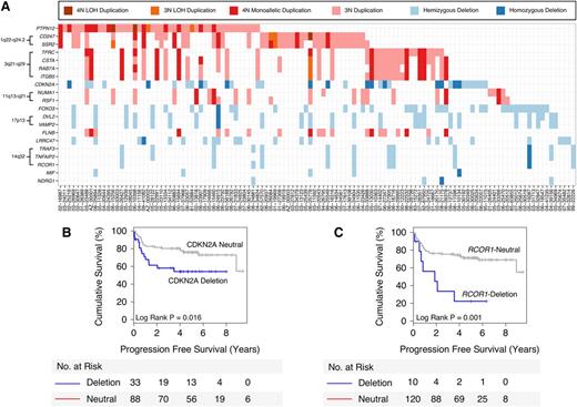 Figure 2. Top 20 candidate genes selected by DriverNet. (A) Matrix showing the top 20 DriverNet genes (in rows) and samples containing genomic aberrations in any one of these genes (in columns). To simplify the visualization, any gains affecting deleted genes and any deletions affecting gained genes have been removed. (B-C) Kaplan-Meier analyses for CDKN2A and RCOR1 deletions, respectively, demonstrate an association with poor PFS.