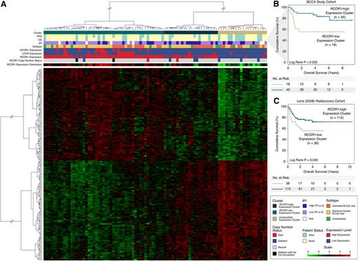 Figure 4. RCOR1 loss–associated signature is associated with unfavorable outcome. (A) The heat map produced from unsupervised clustering on the BCCA cohort using the RCOR1 loss–associated gene expression signature (n = 233). (B) Kaplan-Meier analyses performed on the RCOR1-low vs RCOR1-high expression clusters in the BCCA study cohort. (C) Kaplan-Meier analyses performed on the RCOR1-low vs RCOR1-high expression clusters in the Lenz rediscovery cohort. N/A, not available.
