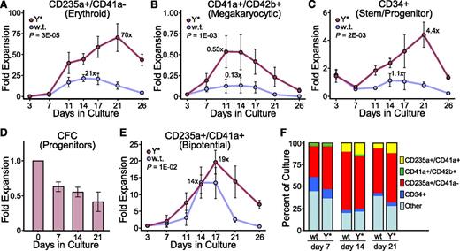 Figure 3. Hyperactive CGS variant improves expansion of both mature and primitive cells. Expansion cultures were established with cord blood CD34+ cells transduced with lentivectors expressing the wt or Y* CGS as for Figure 2. Cell aliquots were analyzed by immunofluorescent staining and flow cytometry for (A) erythroid cells (CD235a+/CD41a−), (B) megakaryocytic cells (CD41a+/CD42b+), (C) primitive stem/progenitor cells (CD34+), and (E) bipotent erythroid/megakaryocytic precursor cells (CD235a+/CD41a+), later determined to be PEMs. Data represent the mean ± standard error (SE) from 4 independent experiments for the fold-expansion based on the starting number of total cells. P values are based on the t test across all time points. The maximum fold-expansion is shown for the wt and Y* samples based on each parameter. (D) Histograms showing the fold expansion of progenitor colony-forming cells present in the cord blood CD34+ expansion cultures transduced with the Y* lentivector and expanded for the indicated days. Colonies were detected by plating cell aliquots in methylcellulose supplemented with a broad cytokine cocktail, and consisted predominantly of primitive and mature erythroid colonies, granulocyte-macrophage colonies, and low levels of megakaryocyte colonies and colonies with mixed phenotypes. Data represents the mean ± SE from 3 independent experiments. (F) Histograms showing the relative frequency of the indicated cell populations present in the cord blood CD34+ cultures transduced with the wt or Y* lentivectors and expanded for 7, 14, and 21 days.