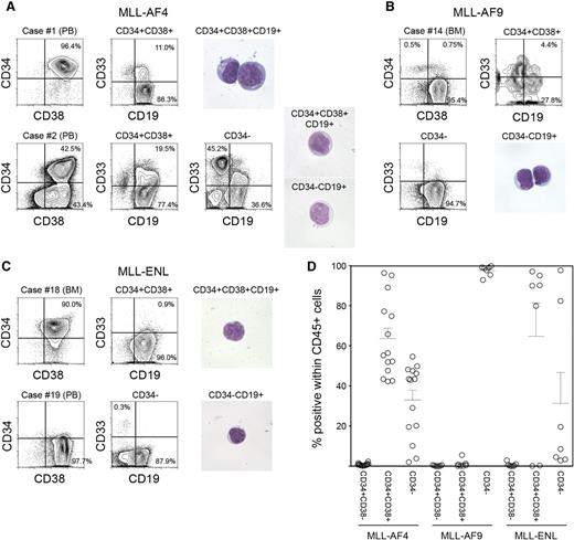 Figure 1. Phenotypic characteristics of MLL-AF4, MLL-AF9, and MLL-ENL ALL cells. (A-C) Representative flow cytometry plots showing expression of CD34, CD38, CD19, and CD33 in cells derived from infant ALL patients with (A) MLL-AF4, (B) MLL-AF9, and (C) MLL-ENL translocations. Morphology of leukemic cells derived from representative cases is shown. (D) Frequencies of CD34+CD38−, CD34+CD38+, and CD34− cells in MLL-rearranged infant leukemia (MLL-AF4, n = 14; MLL-AF9, n = 7; MLL-ENL, n = 7).