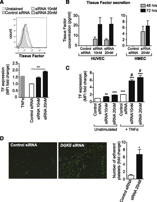 Figure 2. DGKε deficiency leads to a prothrombotic phenotype of ECs. (A) HUVECs were transfected with 20 nM of control siRNA or with DGKE siRNA at 10 nM or 20 nM, and tissue factor (TF) cell-surface expression was analyzed 48 hours later by flow cytometry. HUVECs stimulated for 4 hours with 100 U/mL TNFα were used as a positive control. A representative histogram is shown, and the bar graph illustrates the mean fold change in MFI (± SEM) from 4 independent experiments. **P < .01. (B) The concentration of TF was measured by ELISA in culture supernatants from HUVECs and HMECs transfected with control or DGKE siRNAs 48 and 72 hours after transfection. The bar graphs represent the mean concentration of TF (± SEM) from 4 independent experiments. (C) HUVECs were transfected with control or DGKE siRNAs and cultured for 48 hours. TNFα was added for the last 4 hours of cell culture, and the expression of TF at the surface of cells was then analyzed by flow cytometry. The bar graph represents the mean fold change in MFI (± SEM) vs control siRNA–transfected and unstimulated cells, from 3 independent experiments. **P < .01 and ***P < .001 vs control siRNA–transfected unstimulated cells, and #P < .05 vs control siRNA–transfected and TNFα-stimulated cells. (D) Adhesion of freshly isolated calcein-AM–stained human platelets to HUVECs transfected with control or DGKE siRNAs (20 nM) was assessed by immunofluorescence microscopy. Representative photomicrographs show adhering platelets (green) on HUVECs (magnification ×40). The bar graph represents the mean fold change in the number of adherent platelets (± SEM) from 4 independent experiments.