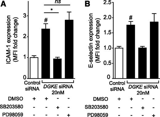Figure 5. Loss of DGKε induces EC activation through p38-MAPK–mediated signals. HUVECs were transfected with 20 nM of control siRNA or DGKE siRNA, and a specific inhibitor of either p38-MAPK (SB203580, 10 μM) or p44/42-MAPK (PD98059, 10 μM), or dimethyl sulfoxide (DMSO) (vehicle) was added to the culture medium after 6 hours. (A) The expression of ICAM-1 and (B) E-selectin was analyzed 48 hours after transfection by flow cytometry. The bar graph represents the mean fold change in MFI (± SEM) from 3 independent experiments. #P < .05 vs control siRNA–transfected and DMSO-treated cells, *P < .05 vs DGKE siRNA–transfected and DMSO-treated cells.