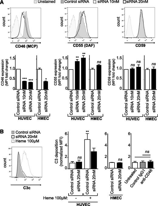 Figure 6. DGKε regulates the expression of complement regulatory proteins but does not promote C3 deposition on ECs. (A) HUVECs and HMECs were transfected with 20 nM of control siRNA (shaded histogram) or with 10 nM (dashed histogram) or 20 nM (open histogram) of DGKE siRNA, and expression of MCP (CD46), DAF (CD55), and CD59 was analyzed 48 hours later by flow cytometry. Representative histograms are shown, and the bar graphs represent the mean fold change in MFI (± SEM) vs control siRNA–transfected cells from at least 4 independent experiments. **P < .01, ***P < .001. ns, not significant. (B) HUVECs and HMECs were transfected with control or DGKE siRNAs. After 48 hours, cells were incubated with 1:4 normal human serum (NHS) for 30 minutes at 37°C, and the deposition of C3c at their surface was evaluated by flow cytometry. Cells incubated for 20 minutes with 100 μM heme before NHS exposure were used as a positive control for C3 deposition, as described elsewhere.28 HUVECs treated for 30 minutes with a blocking anti-MCP antibody or a control IgG1 isotype (50 μg/mL) before NHS exposure were used to determine whether MCP blockade affects C3 deposition at the surface of ECs. A representative histogram is shown, and the bar graphs represent the mean fold change in MFI (± SEM) from at least 3 independent experiments. **P < .01.