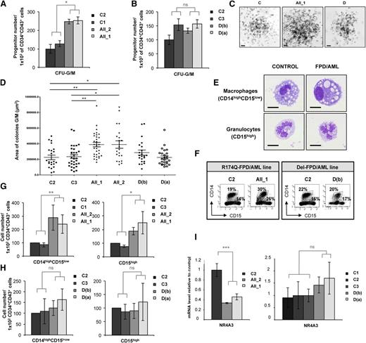 Figure 3. RUNX1 R174Q mutation but not RUNX1 deletion affects the output of granulomonocytes. AII_1, AII_2 are iPSC clones of 2 patients from pedigree A; D(a) and D(b) are 2 clones of 1 patient from pedigree D; and C1, C2 and C3 are control iPS cell lines. Cell numbers were normalized in all experiments to those produced by the C2 clone. (A-D) CD34+CD43+ cells were sorted at day 14 and tested for their colony-forming potential in a methylcellulose assay. The histograms show (A) 1 representative experiment of 3 for pedigree A and (B) 1 representative experiment of 7 for pedigree D, each in triplicate. Error bars represent ± SD of triplicate. (C) Photos of granulomonocytic colonies (CFU-GM). Scale bar = 100 μm. (D) Area of more than 30 CFU-GM colonies obtained from each iPSC line was analyzed by AxioVisio 4.6 software. (E-H) Analysis of hematopoietic populations generated at day 21 from progenitors sorted at day 14. (E) May-Grünwald-Giemsa staining of monocytes and/or macrophages (CD14highCD15low) and granulocytes (CD15high) derived from iPSCs. Scale bar = 10 μm. (F) FACS analysis of the GM cells in 1 representative experiment. (G-H) Absolute numbers of generated monocytes and/or macrophages (CD14highCD15low) and granulocytes (CD15high) normalized to 1 × 102 plated progenitors. (G) The histograms show average of the cell number obtained in 5 independent experiments for monocytes and/or macrophages and in 3 for granulocytes for pedigree A. (H) The histograms show average of the cell number obtained in 4 independent experiments for pedigree D. Error bars represent ± SD of the average. (I) qRT-PCR analysis of NR4A3 expression level in CD34+CD43+ cells in both A (left; n = 4) and D (right; n = 4) pedigrees. Data are normalized to PPIA transcript, and expression is compared with control C3. Error bars represent ± SD of triplicate. *P < .05; **P < .01; ***P < .001; Student t test. ns, nonsignificant.