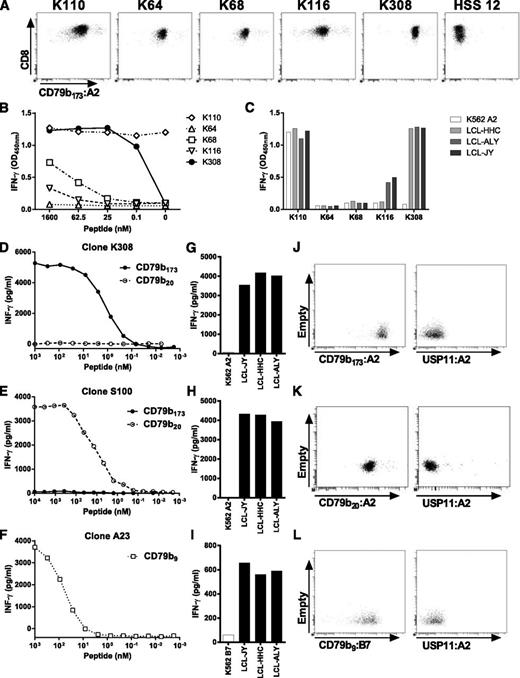 Figure 1. pMHC tetramer+ CD8+ T cells exhibit different degrees of CD79b peptide sensitivity and specificity. T cells were clonally expanded by single-cell sorting of CD8+ T cells binding to pMHC tetramers containing CD79b peptides. (A) Shown are pMHC-tetramer staining of 5 representative clones (K110, K64, K68, K116, and K308) isolated using pMHC tetramer CD79b173:A2. Control includes clone HSS12 specific for USP11-derived peptide FTWEGLYNV bound to HLA-A2. Shown are CD8+ cells. (B-C) The same T-cell clones as in (A) were coincubated with K562-A2 cells loaded with decreasing concentrations of CD79b173 peptide (B) or were cocultured with 3 HLA-A2/B7–positive B-LCLs endogenously expressing CD79b (C). Controls included CD79b-negative K562-A2 cells. (D-E) K562-A2 cells peptide-pulsed with decreasing concentration of peptide CD79b173 or CD79b20 as indicated were coincubated with clone K308 isolated using pMHC tetramer CD79b173:A2 (D) or clone S100 isolated using pMHC tetramer CD79b20:A2 (E). (F) K562 cells retrovirally transduced with HLA-B7 (K562-B7) were peptide-pulsed with decreasing concentration of peptide CD79b9 and coincubated with clone A23 isolated with pMHC tetramer CD79b9:B7. (G-I) Clones K308 (G), S100 (H), and A23 (I) were cocultured with HLA-A2 and HLA-B7–positive B-LCLs. CD79b-negative K562-A2 or K562-B7 cells were included as controls. IFN-γ secretion was measured using standard ELISA. Axes were adjusted to maximum cytokine release measured. (J-L) K308 was stained with pMHC tetramer CD79b173:A2 (J), S100 with CD79b20:A2 (K), and A23 with CD79b9:B7 (L). Staining with an irrelevant pMHC tetramer USP11:A2 was used as control. Dot plots are shown with biexponential axis.