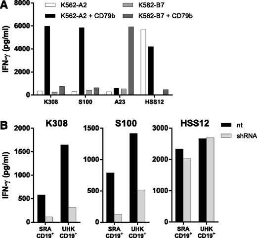 Figure 2. CD79b expression and shRNA knockdown confirm CD79b specificity of isolated T-cell clones. (A) CD79b-negative K562 cells expressing either HLA-A2 (K562-A2) or HLA-B7 (K562-B7) were retrovirally transduced with codon-optimized CD79b (K562-A2 + CD79b or K562-B7 + CD79b) and sorted to high purity. CD79b-reactive T-cell clones K308 (CD79b173:A2), S100 (CD79b20:A2), and A23 (CD79b9-17:B7) were coincubated with transductants. Control T-cell clone HSS12 recognizes a peptide of the ubiquitously expressed gene USP11 in the context of HLA-A2. (B) CD40L-activated CD19+ B cells of 2 HLA-A2–positive healthy individuals (SRA CD19+ and UHK CD19+) were transduced with CD79b-specific shRNA (shRNA) and selected by puromycin treatment or were left untreated (nt) and coincubated with T-cell clones K308 or S100 or control clone HSS12. Clones K308 and S100 were cocultured at a S:R ratio of 2:1. Control clone HSS was cocultured at an S:R ration of 10:1. IFN-γ production was determined using standard ELISA. Antigen-presenting capacity of transduced and nontransduced target cells was controlled by clone HSS12.