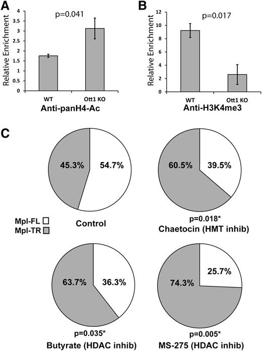 Figure 4. Histone modifications on c-Mpl are Ott1-dependent and inhibitors manipulate alternative splicing. (A) H4-Acetylation of WT and Ott1 KO bone marrow. ChIP using anti-pan-acetyl-H4 on pIpC-induced Ott1 WT or Ott1flox/nullMx1-cre (Ott1 KO) adult lineage–depleted bone marrow and then quantified using qPCR to determine relative enrichment. (B) H3K4me3 of WT and Ott1 KO bone marrow. ChIP using anti-pan-H3K4me3 on pIpC-induced Ott1 WT or Ott1flox/nullMx1-cre (Ott1 KO) adult lineage–depleted bone marrow and then quantified using qPCR to determine relative enrichment (n = 3; error bars, ± SD). (C) Ratio of Mpl-TR:Mpl-FL after Hdac and/or HMT inhibitor treatment. Thpo-cultured WT fetal livers were incubated for 24 hours with control (n = 6), 100 nm chaetocin (n = 6), 5 mM sodium butyrate (n = 7), or 5 µM MS-275 (n = 4). qPCR was performed on total RNA from isolated megakaryocytes to determine Mpl-TR:Mpl-FL isoform ratio.