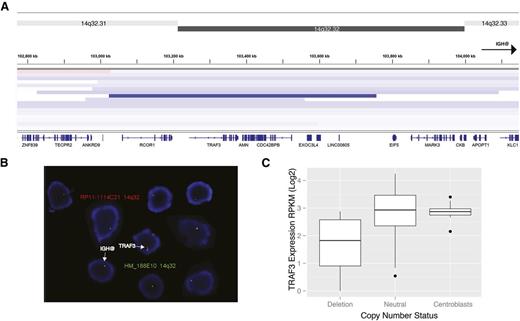 Figure 3. Recurrent focal deletions of the TRAF3 locus in hDLBCL. (A) A panel of 148 diagnostic hDLBCL tumors were analyzed for copy number alterations using genotyping arrays (Materials and methods). Loss of TRAF3 was detected in 13 cases with the smallest deletion encompassing a region ∼600 kb in length and showing a minimal common region comprising RCOR1, TRAF3, AMN, and CDC42BPB. This region was deemed significant by the GISTIC algorithm (residual Q-value: 0.00053462). Although COO subgroup information was not available for all patients, TRAF3 deletions were detected in a total of 6 ABC cases and 2 GCB cases. (B) The deletion was verified using FISH and probes specific to TRAF3 (red) and IGH probes acting as a control (green). In the tumor sample tested, loss of TRAF3, as indicated by a single red signal, was observed in 83% of cells. Loss of only a single copy of IGH, resulting in a single green signal, was also observed in the malignant cells. (C) Using RNA-seq data from 91 of the samples with such data available, we compared the expression level of TRAF3 in cases with loss of the locus relative to undeleted cases. Using this approach, TRAF3 mRNA was significantly less abundant among deleted cases and also significantly reduced relative to benign tissues (flow-sorted centroblast samples).