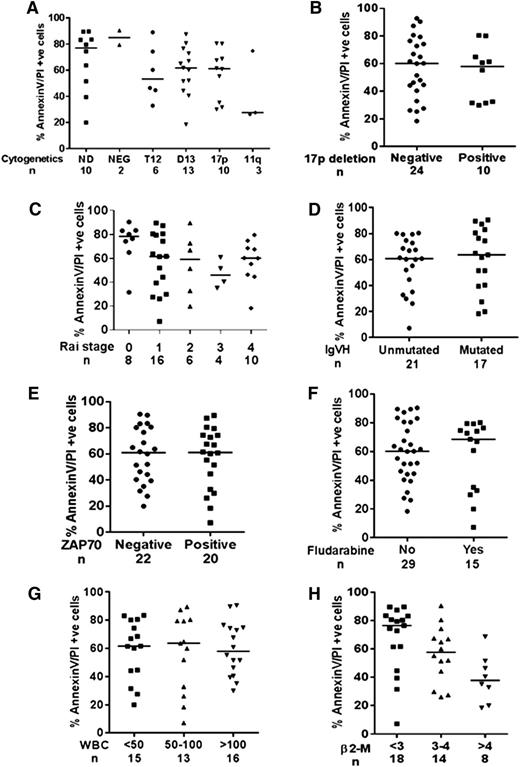 Figure 4. Effect of prognostic markers on B-PAC-1–induced apoptosis in CLL lymphocytes. B-PAC-1–induced apoptosis was compared in CLL samples obtained from patients with different cytogenetics (A), with 17p chromosome deletion (B), different Rai stages (C), with or without IgVH mutation (D), ZAP70 status (E), with or without prior fludarabine exposure (F), peripheral white blood cell count (G), and level of β2-microglobulin (H). Apoptosis was measured by Annexin V/PI staining assay and unstained cells were considered viable cells; time-matched DMSO-treated cells served as control. 11q, chromosome 11q deletion; 17p, chromosome 17p deletion; β2-M, β2-microglobulin; D13, chromosome 13q deletion; ND, not determined; NEG, negative for any cytogenetic factor; T12, trisomy 12; WBC, white blood cell.
