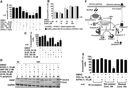 Figure 6. Mechanism of B-PAC-1–mediated apoptosis. Role of exogenous zinc ions in B-PAC-1–mediated apoptosis in CLL lymphocytes (A). Cells were treated with 100 µM exogenous zinc ions in the presence or absence of PAC-1a, ABT199, STS, or B-PAC-1 at indicated concentrations for 24 hours. Titration of zinc concentrations (B). ZnSO4 at 10 µM, 50 µM, and 100 µM was added to CLL lymphocytes in the presence of B-PAC-1 at 0 hours (□) or after 5 hours of B-PAC-1 incubation (▪). Role of caspase inhibitors in B-PAC-1–induced apoptosis (C-D). Cells were treated with 50 µM Z-VAD or Q-VD (pan-caspase inhibitors) in the presence or absence of STS or B-PAC-1 for 24 hours and the percentage of apoptosis was measured (C). Representative immunoblot of samples (n = 2) treated with Z-VAD and Q-VD for 24 hours in the presence and absence of B-PAC-1 and ABT-199 (a Bcl-2 antagonist as a positive control) and 0-hour sample (right after isolation of CLL lymphocytes from blood) (D). Reversibility of B-PAC-1–induced apoptosis (E). CLL lymphocytes were incubated with PAC-1a or B-PAC-1 and either not washed or washed after 5 hours (E) and viability (% AnnexinV/PI− cells) was measured. Working model of B-PAC-1 mechanism of action (F). PAC-1a, negative control.