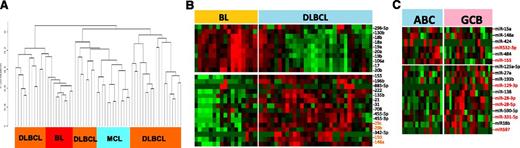 Figure 4. miRNA expression in FFPE tissues. (A) Unsupervised HC on miRNA profiles from FFPE specimens showed distinct clusters of DLBCL and BL. (B) The miRNA classifier obtained from cryopreserved tissues showed a similar expression pattern in FFPE tissues of BL and DLBCL. (C) A similar pattern was observed in DLBCL subgroups; however, to retain high predictive power, additional miRNAs were required in FFPE tissues.