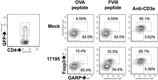 Figure 3. Expression of 17195TCR on human Tregs and upregulation of Foxp3 and GARP by stimulation with FVIII-2191-2220. 17195TCR and mock-transduced Tregs (prepared as in Figure 2A) were maintained in culture for 10 days and then reactivated for 48 hours with irradiated DR1-PBMCs and FVIII-2191-2220 (0.5 μg/mL) or OVA peptide (0.5 μg/mL) plus IL-2 (200 U/mL). GFP expression in transduced cells was measured by FACS (left contour plot). The right contour plots indicate subsequent Foxp3 and GARP expression in gated GFP+ cells. Induction of Foxp3 and GARP by specific antigen was calculated by comparing the Foxp3−GARP− cell counts (lower left gate and number) and the Foxp3+GARP+ cell counts (upper right gate and number) in the right contour plots.